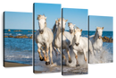 Camargue Horses Wall Art