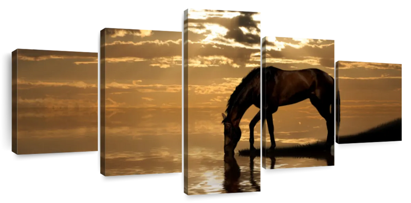 Lone Arabian Horse Wall Art