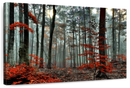 Silent Forest Wall Art