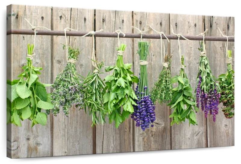 Culinary Herbs Wall Art