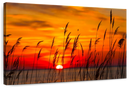 Chesapeake Bay Sunrise Wall Art
