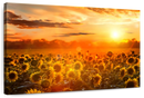 Yellow Sunset Wall Art