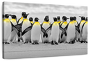 Penguins Pop Wall Art