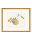 Pastel Orange I