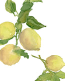 Watercolor Lemon Branch
