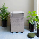Two Drawer Rolling File Cabinet With Lock And Glass Top Under Desk Printer Stand Grey Office Furniture