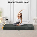 Dark Gray Standard Size Multifunctional Convertible Sofa
