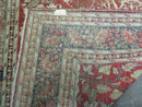 4' X 6' Antique Handmade Turkish Tree Of Life Oriental Wool Rug Birds Red