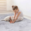 Maval - 6' X 9' Washable Area Rug - Gray / Gold
