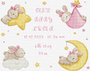 Baby Girl record L9943 Counted Cross Stitch Kit