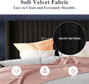 Queen Size Velvet Bed Frame With Wingback Headboard Storage