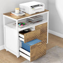 Modern File Cabinet With Drawers In Dark Walnut Casters