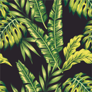 Dark Wallpaper with Palm Leaves