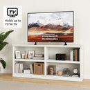 White Double Wide Bookshelf 64 Inch 2 Tier Storage Unit