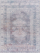 Baltinglass Gray Washable Rug - Clearance