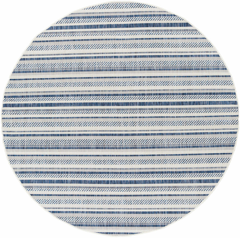 Olin White&Blue Performance Rug