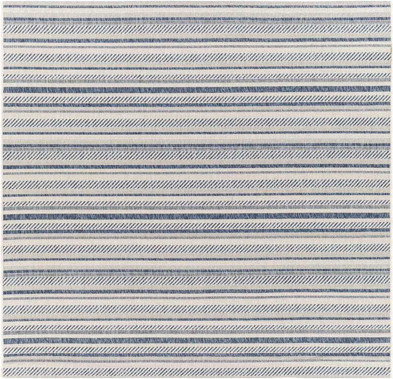 Olin White&Blue Performance Rug