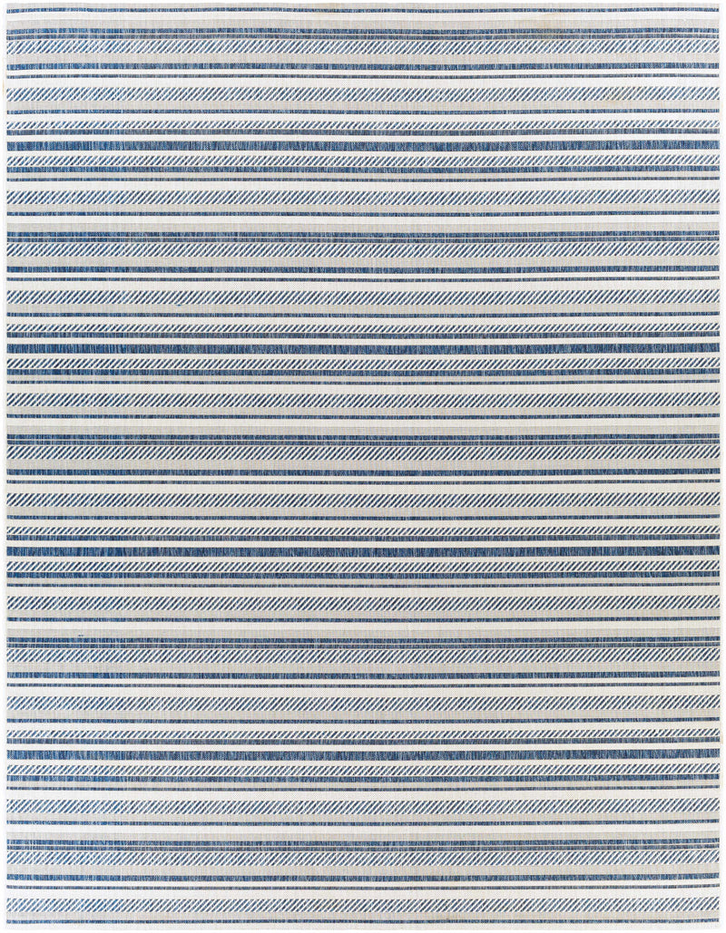 Olin White&Blue Performance Rug