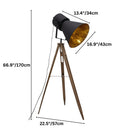 Earena Floor Lamp