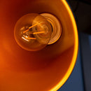Earena Floor Lamp
