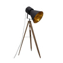 Earena Floor Lamp