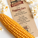 Popping Ear | Yellow Un-Popped Popcorn | Non-GMO | Free Day Popcorn