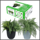 Plantable Artificial Plants - SYLVA Collection (2 Sets of 3 different plants) | DECKO Verdure Eden Plantables