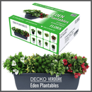 Plantable Artificial Plants - FLORA - Collection (8 different plants) | DECKO Verdure Eden Plantables