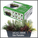 Plantable Artificial Plants - <b>VERBENA</b> Collection (8 different plants) | DECKO Verdure Eden Plantables