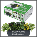 Plantable Artificial Plants - MARIGOLD Collection (9 different plants) | DECKO Verdure Eden Plantables