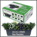Plantable Artificial Plants - DAHLIA Collection (7 different plants) | DECKO Verdure Eden Plantables