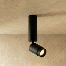 Edwin Downlight