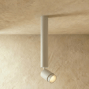 Edwin Downlight