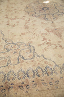 11x14.5 Vintage Distressed Sparta Carpet