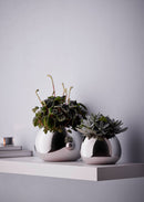 Bella Vases: S