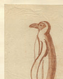 Penguin Sketch