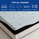 Ego 10 inch Charcoal