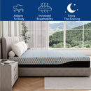 Ego 10 inch Charcoal