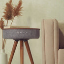 Ekko Speaker Side Table