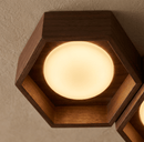 Electa Ceiling Lamp