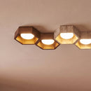 Electa Ceiling Lamp