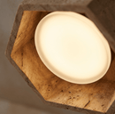Electa Ceiling Lamp
