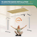 Electric Height Adjustable Standing Desk with Phone Holder
