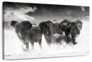 Etosha Park Elephants Wall Art