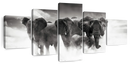 Etosha Park Elephants Wall Art