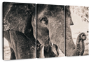Elephant Up Close Wall Art