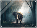 Elephant Print Metal Wall Art – Wildlife Safari Animal Nature Home Decor