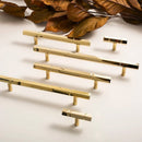Epip Knob & Pull Bar