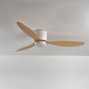 Era Ceiling Fan