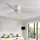 Era Ceiling Fan